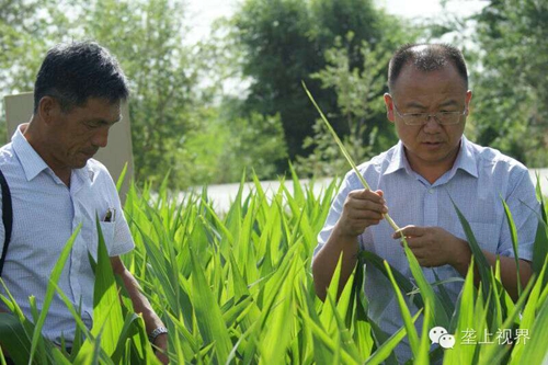 敦煌種業(yè)種子營(yíng)銷(xiāo)分公司—通過(guò)組織黑龍江農(nóng)戶開(kāi)展體驗(yàn)之旅活動(dòng)進(jìn)一步提升公司的社會(huì)形象
